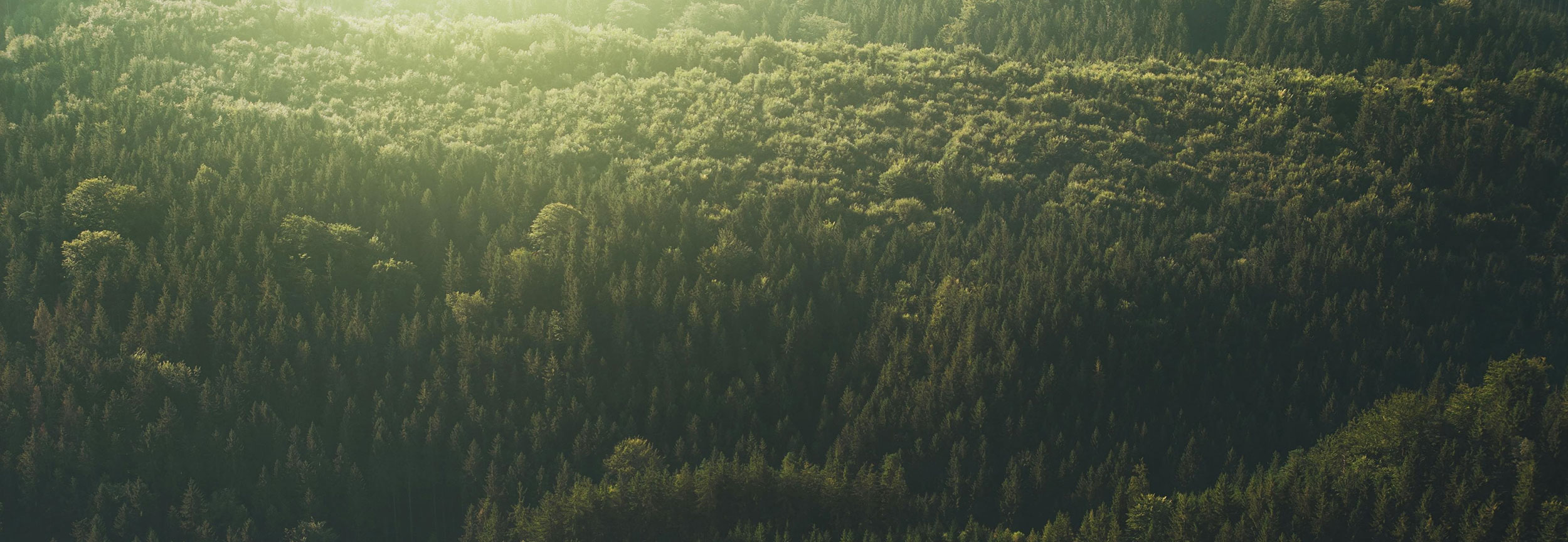 聚全球优材，创绿色价值